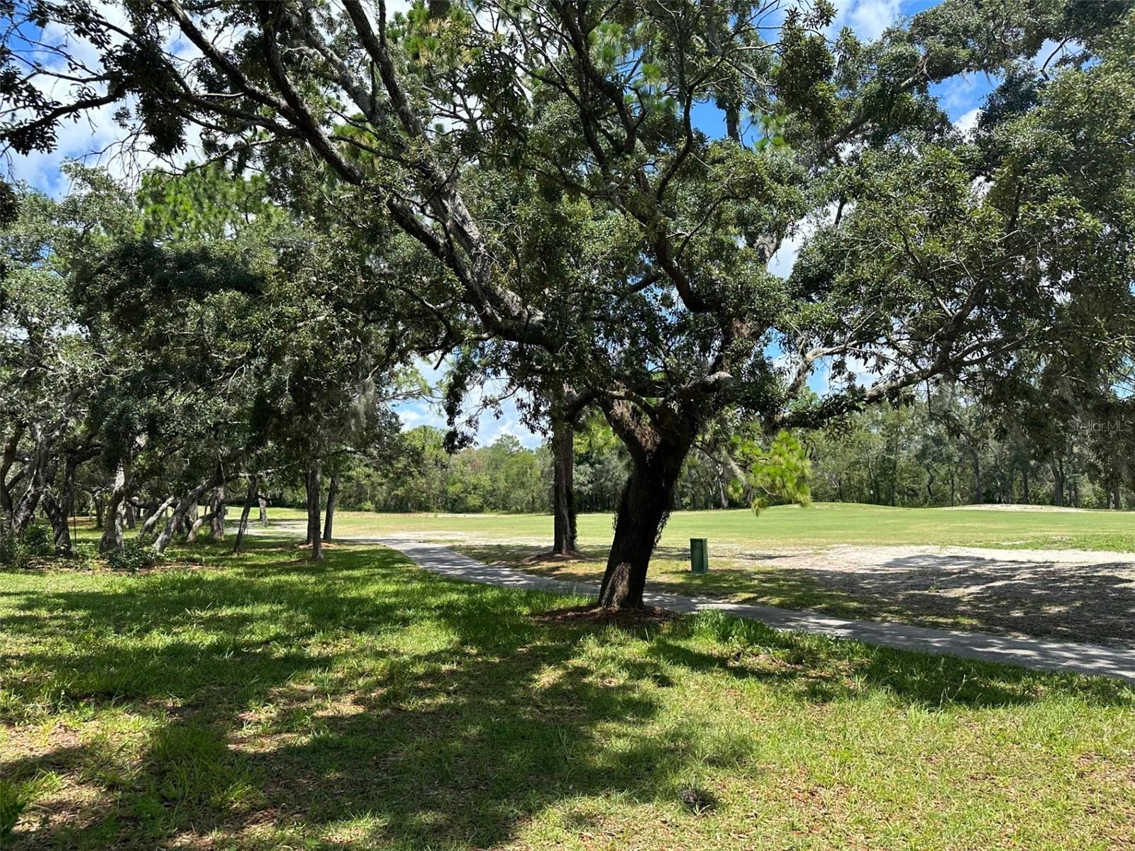 SOUTHERN WOODS AT SUGARMILL WOODS - Land