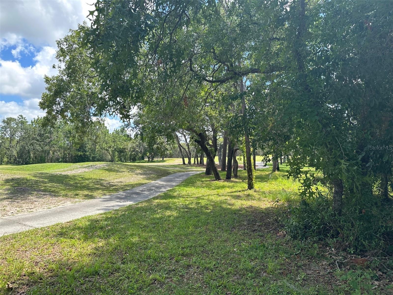 SOUTHERN WOODS AT SUGARMILL WOODS - Land