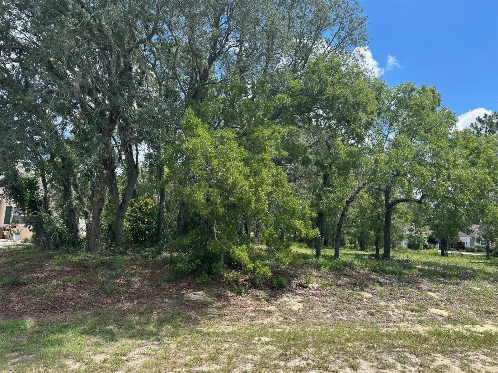 SOUTHERN WOODS AT SUGARMILL WOODS - Land