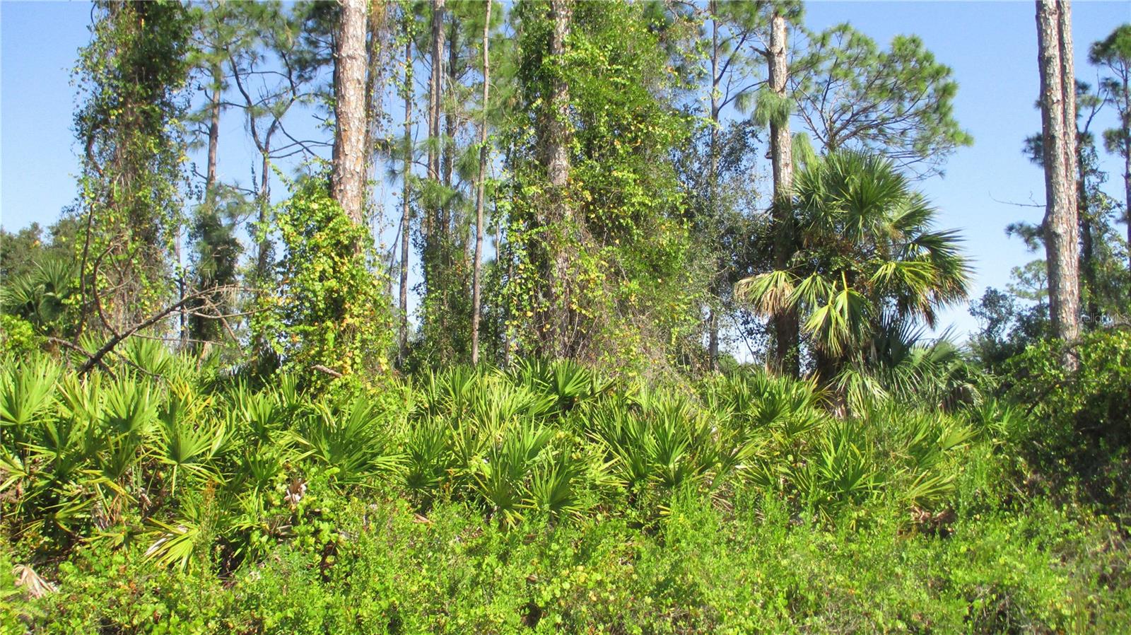 Buildable lot in an area of new homes
Close to everything