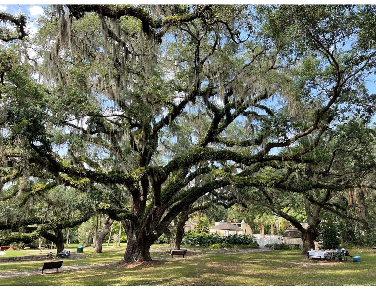SPREADING OAK VILLAGE REV BLK B - Residential