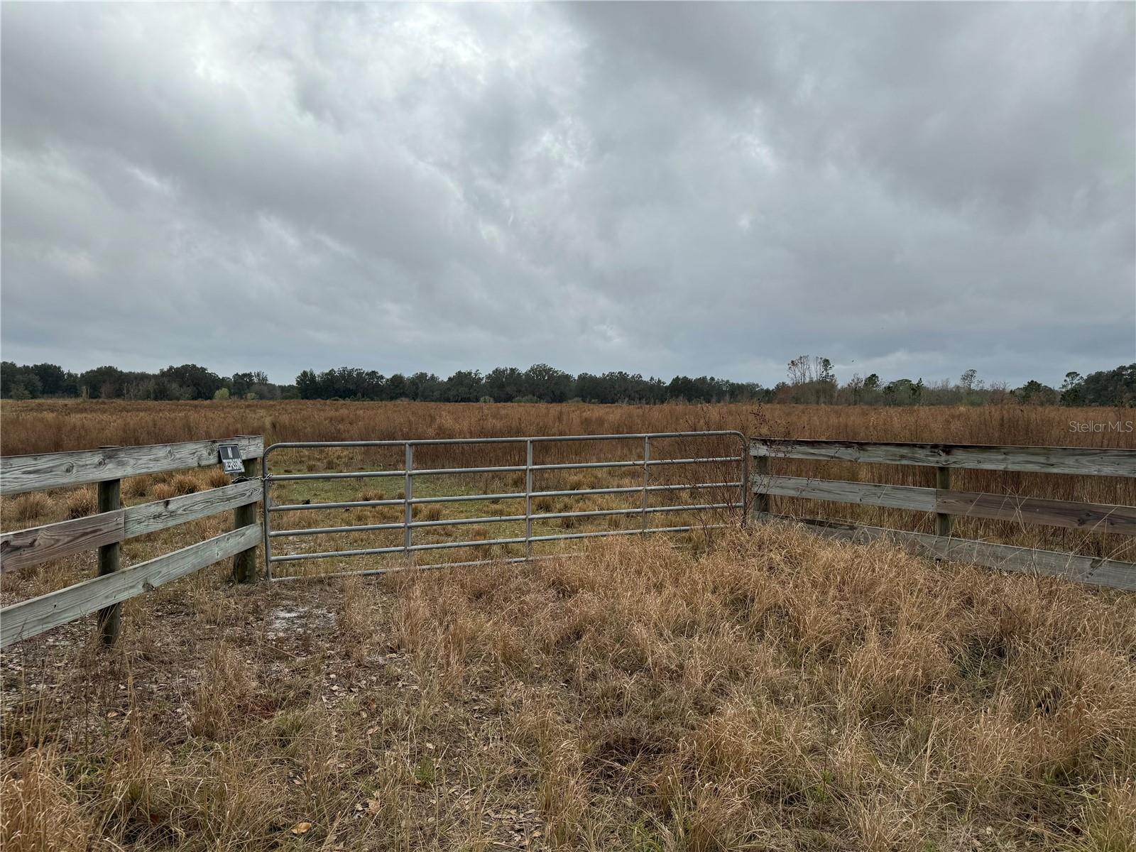 PASCO HEIGHTS - Land