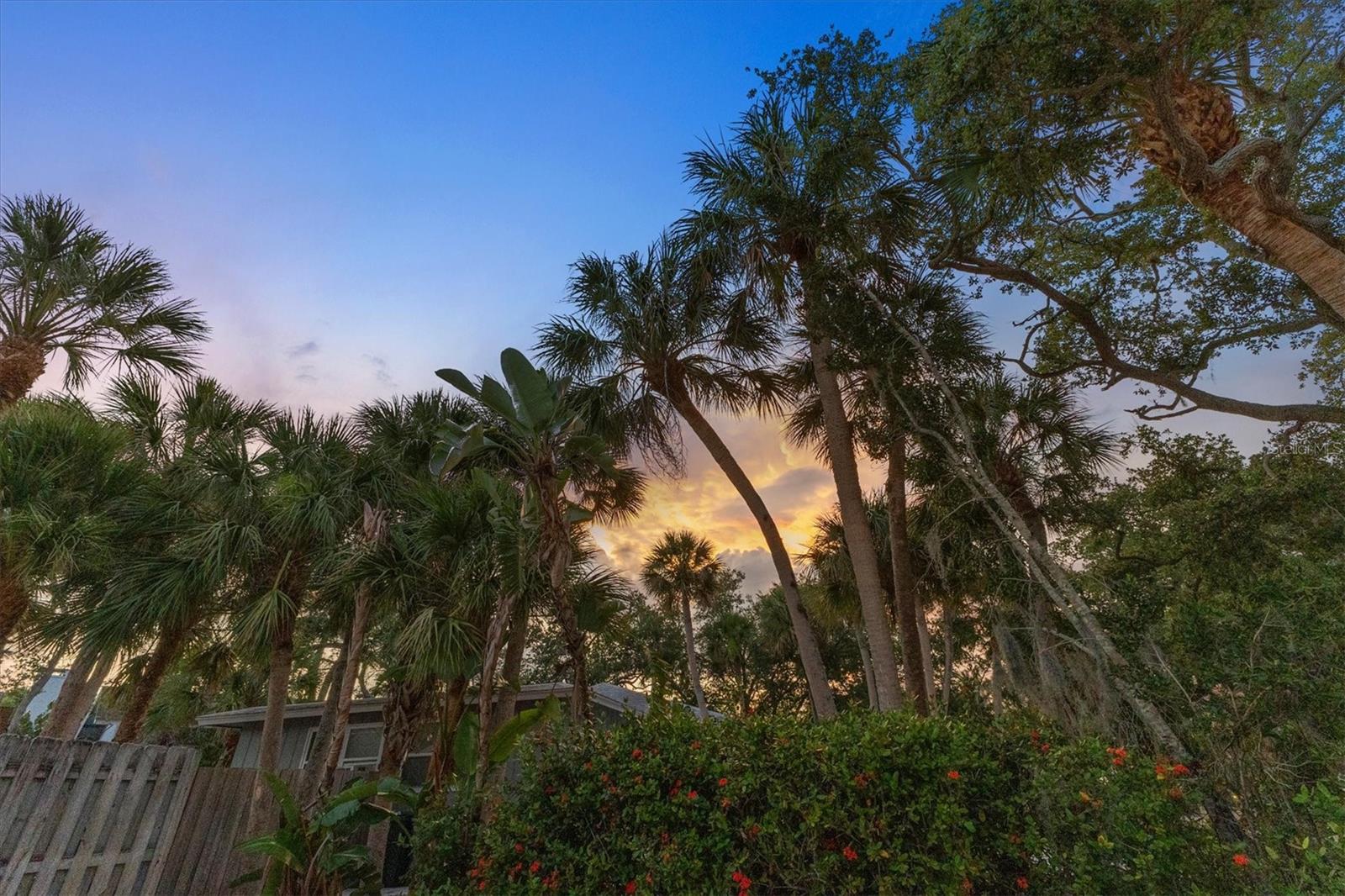 SIESTA BEACH - Residential
