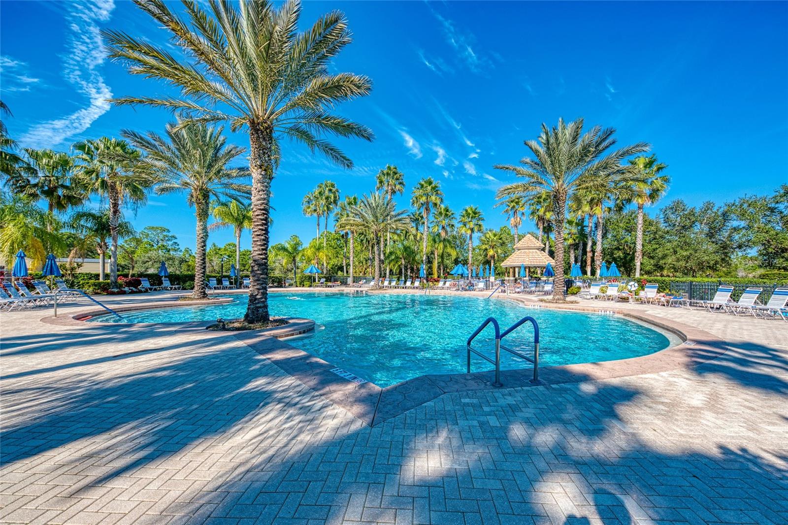 STONEYBROOK AT VENICE - Residential
