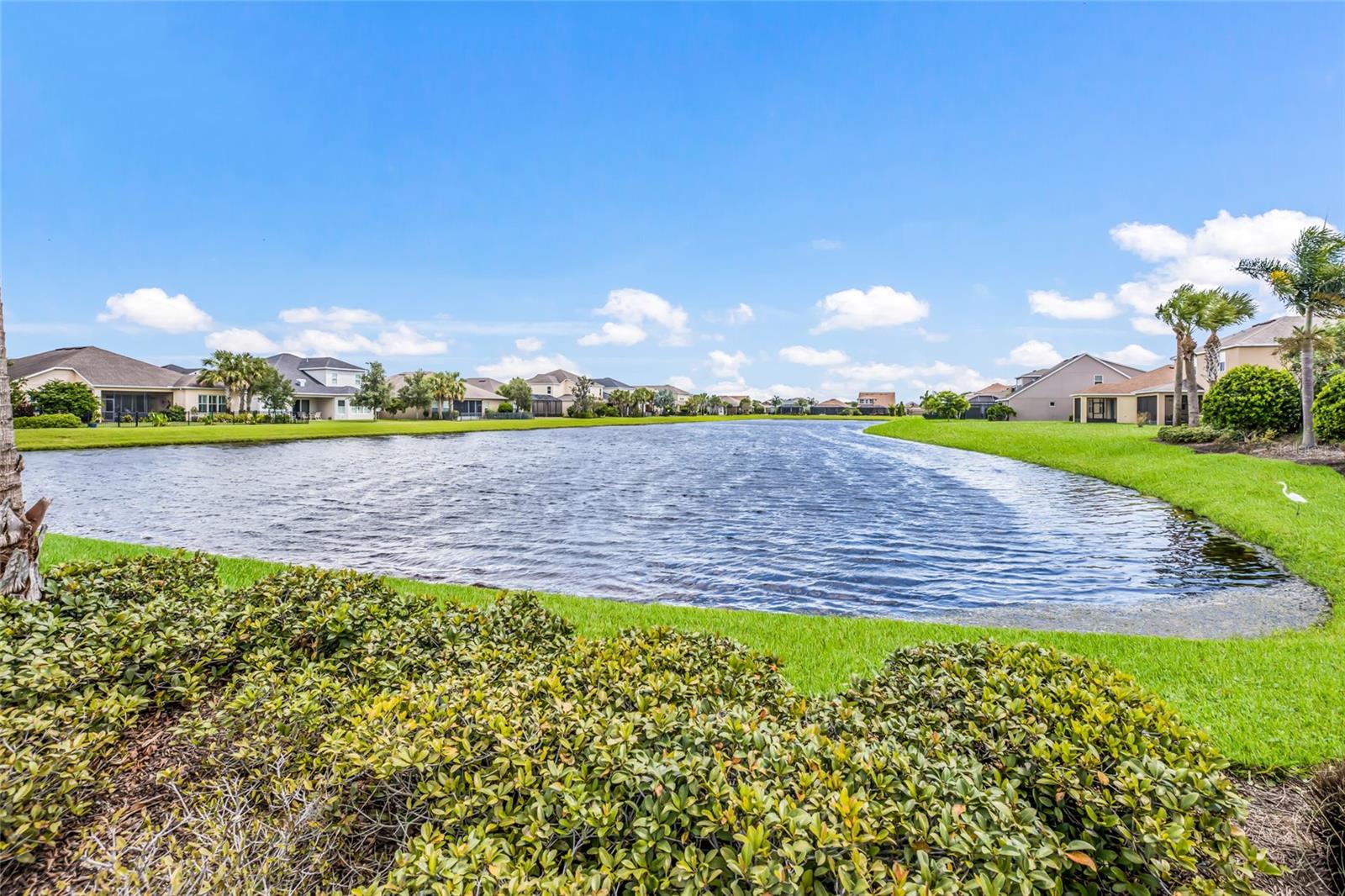 ARBOR RESERVE - Residential