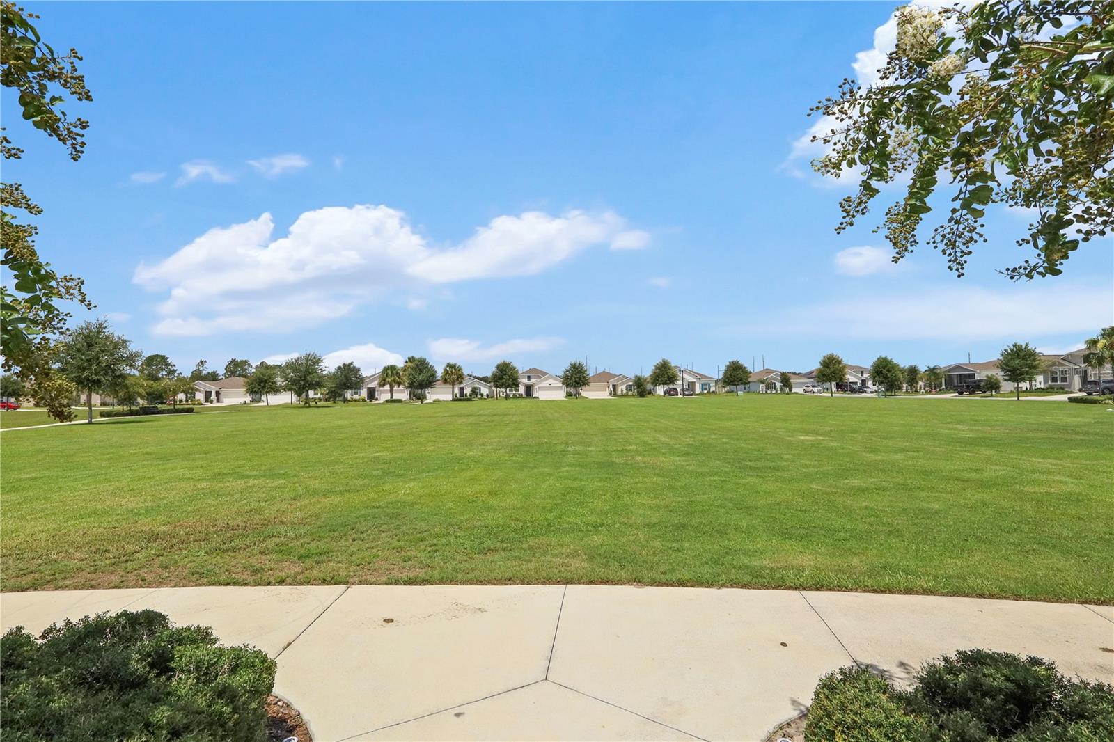 LIBERTY PRESERVE - Residential