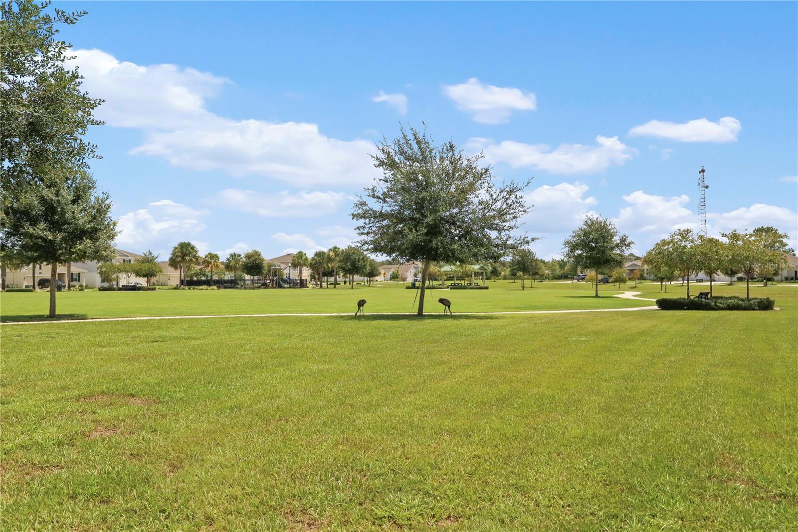 LIBERTY PRESERVE - Residential