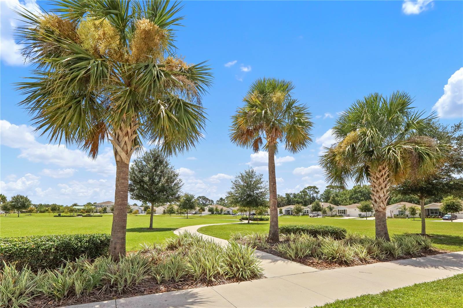 LIBERTY PRESERVE - Residential