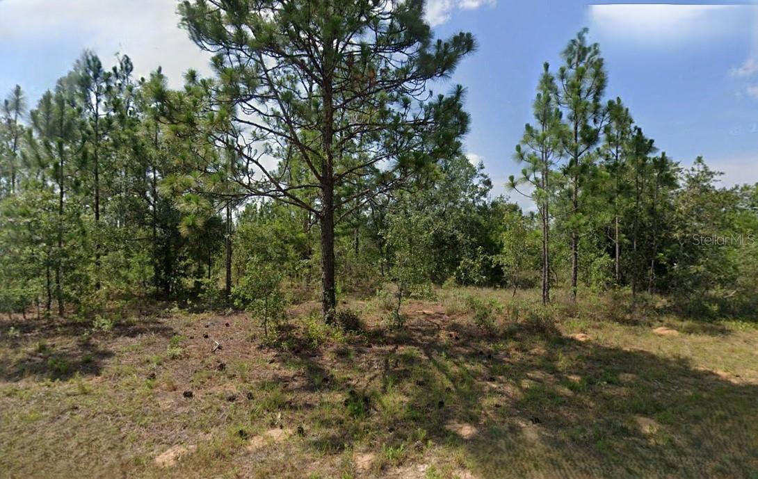 Nice vacant lot. All information provided is deemed reliable but is not guaranteed and should be independently verified.