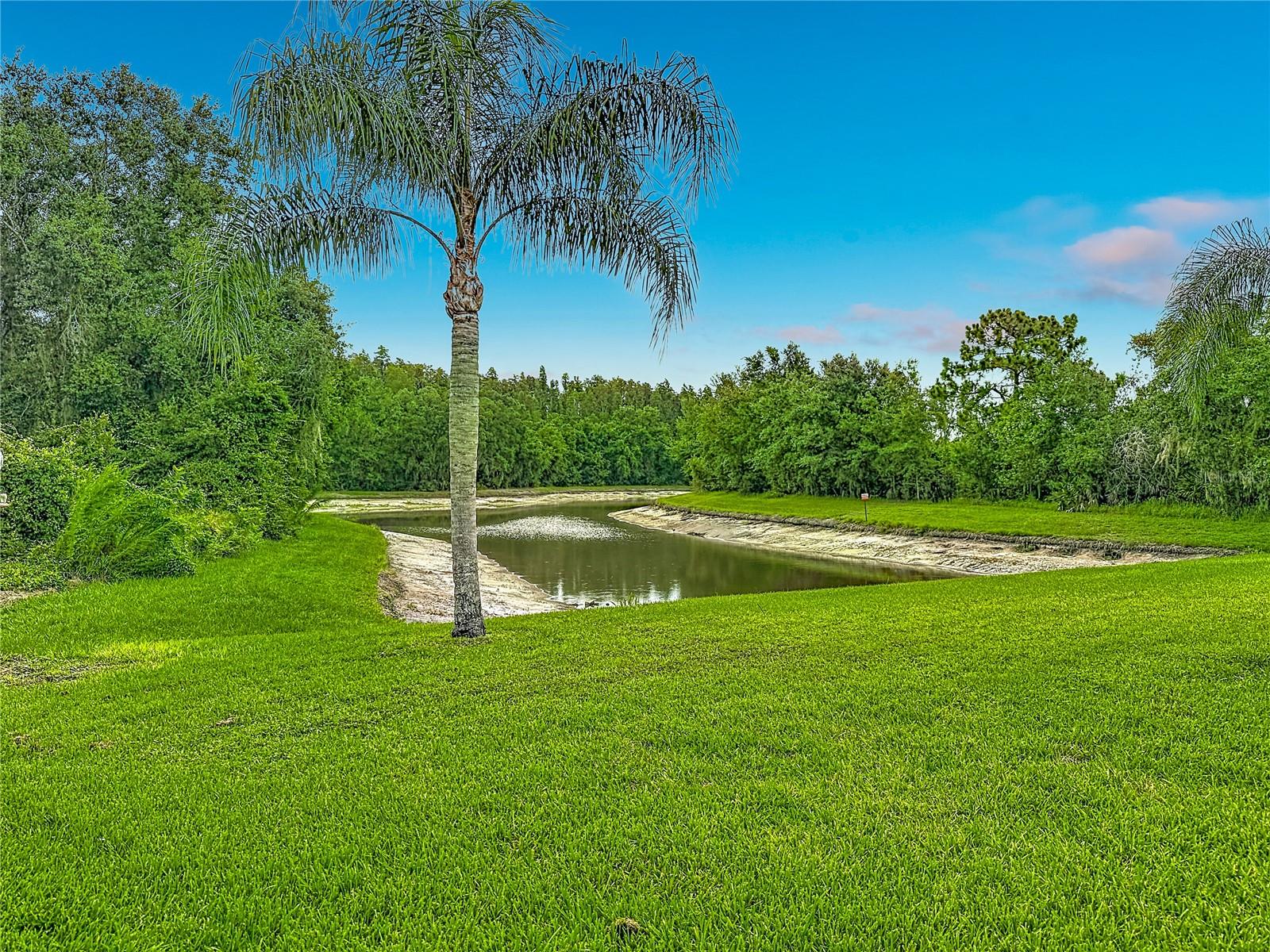 MEADOW POINTE - Residential
