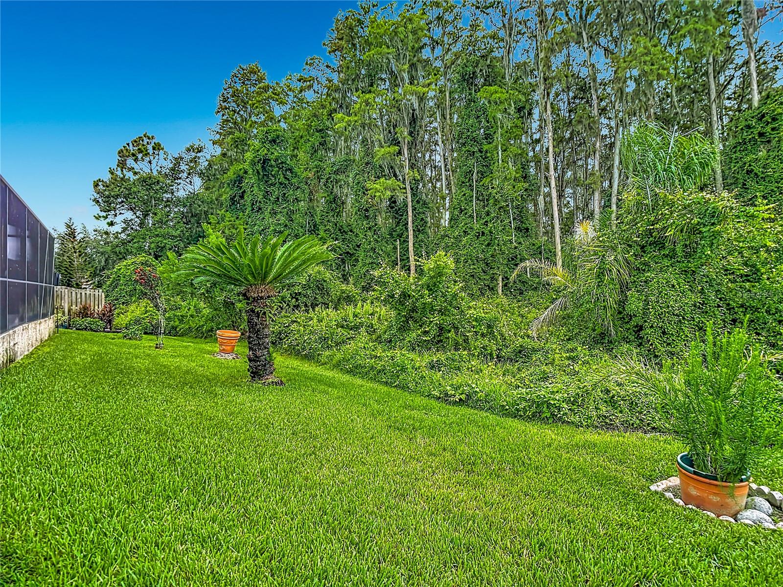 MEADOW POINTE - Residential