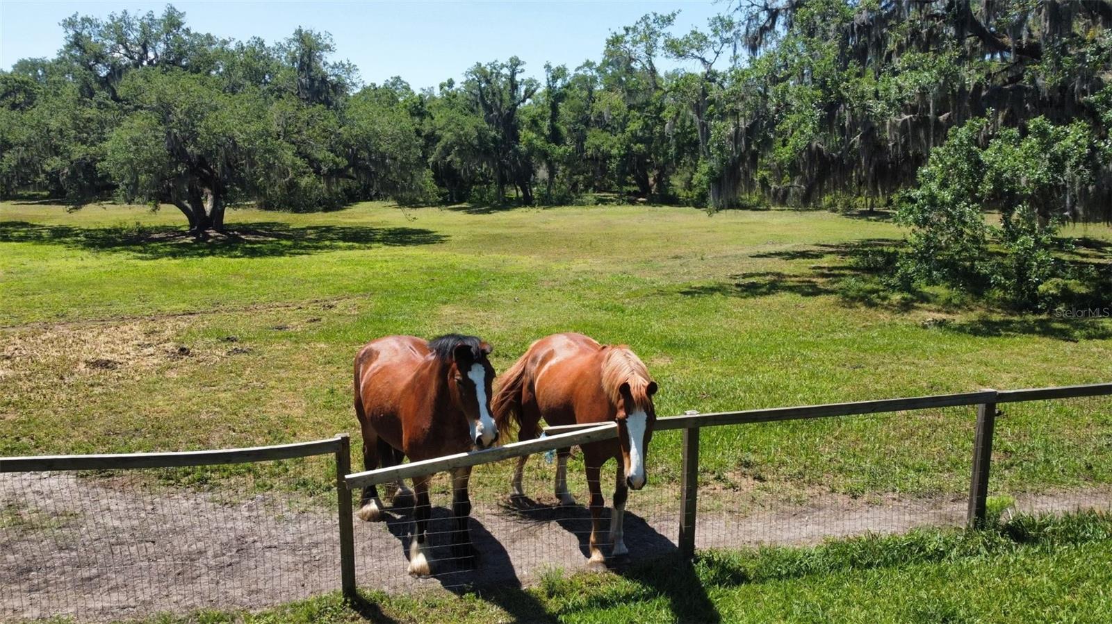 PALMER FARMS - Land