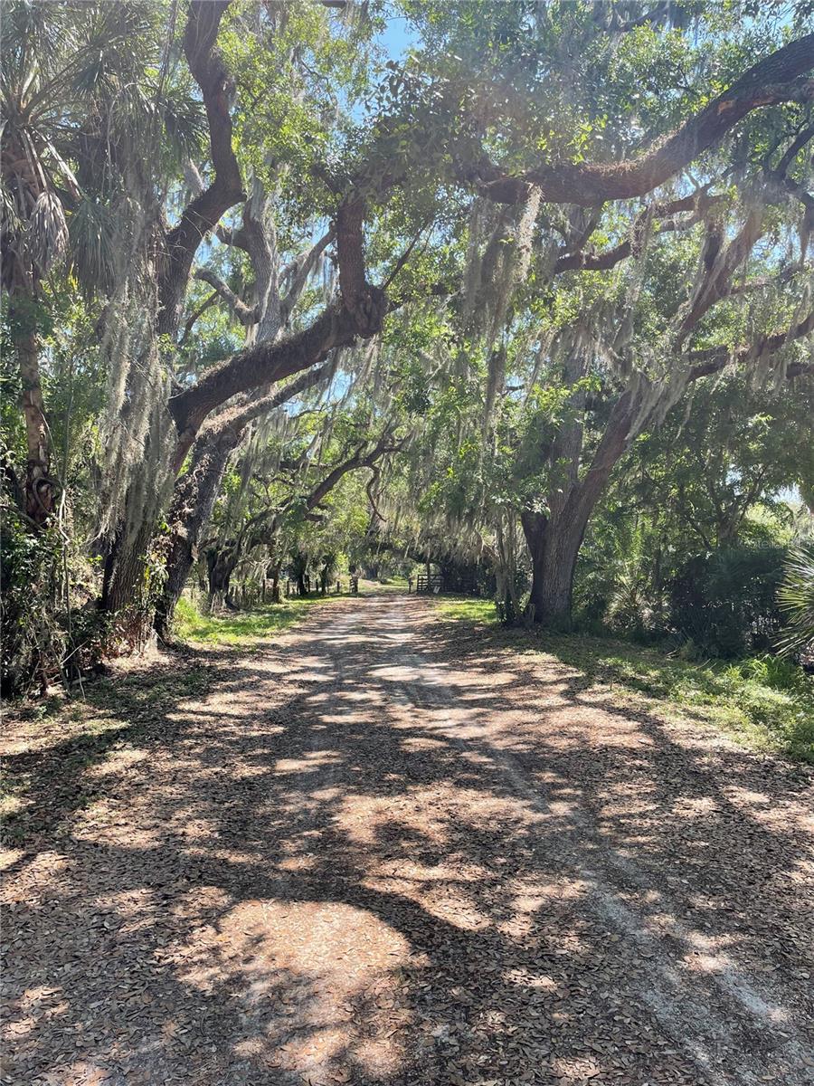 PALMER FARMS - Land