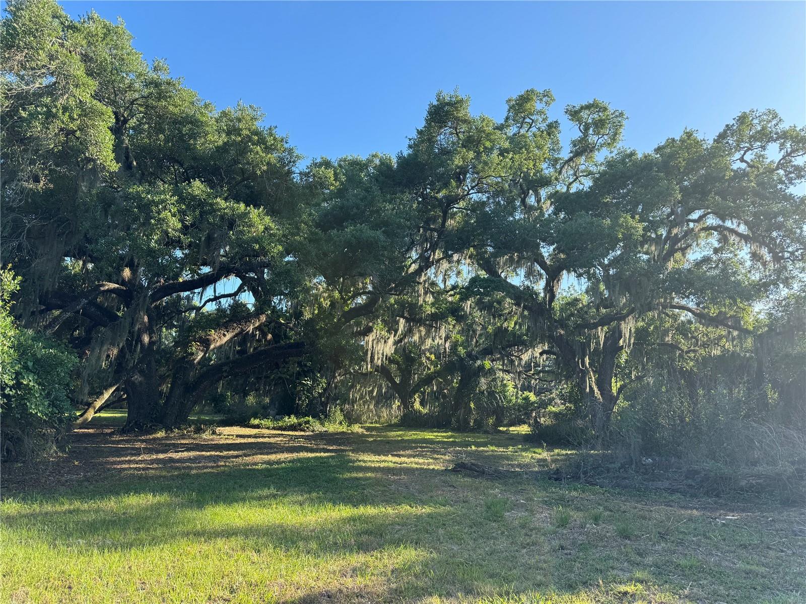 PALMER FARMS - Land
