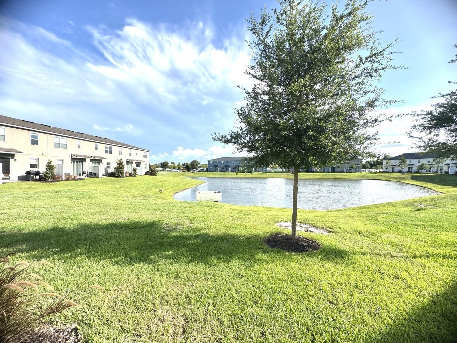 SPRING ISLE PALMS - Residential Lease