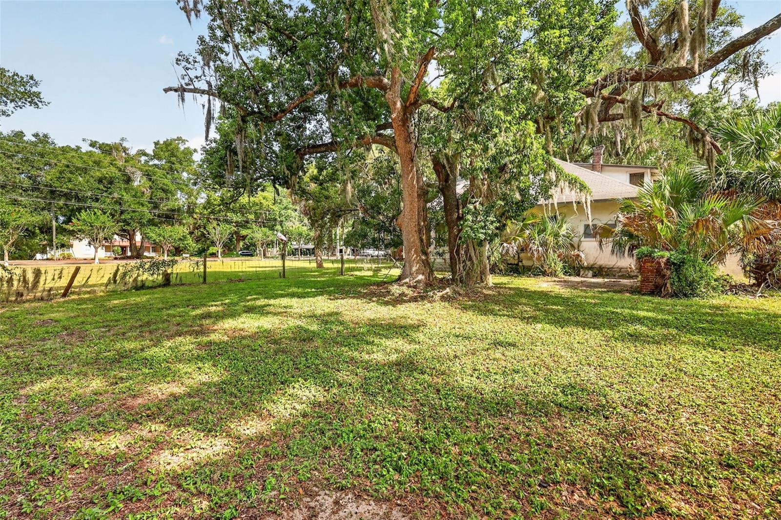 MOUNT DORA - Residential
