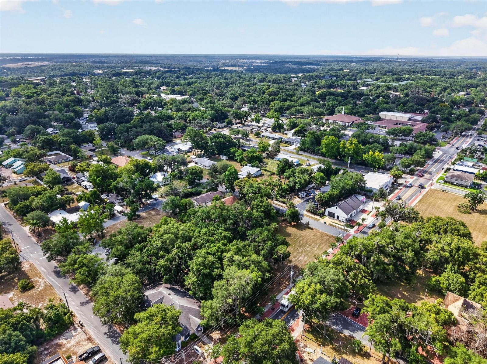MOUNT DORA - Residential