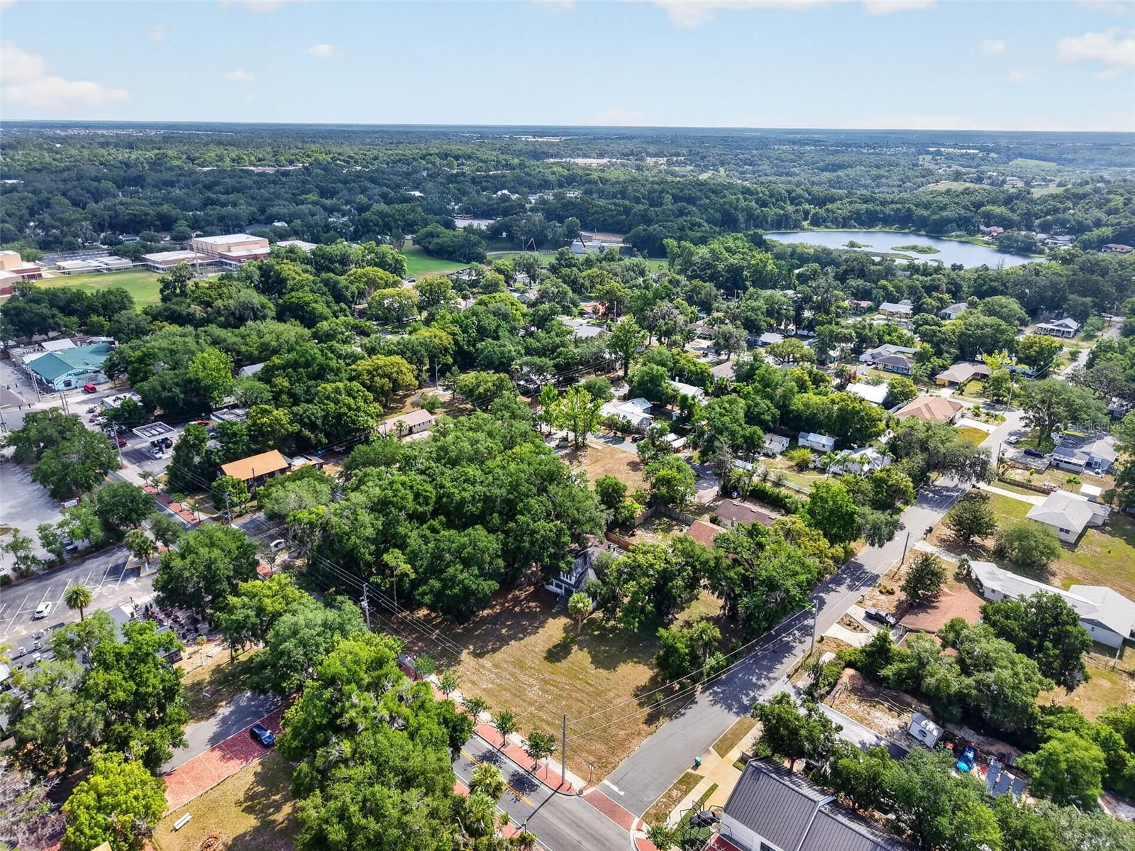 MOUNT DORA - Residential