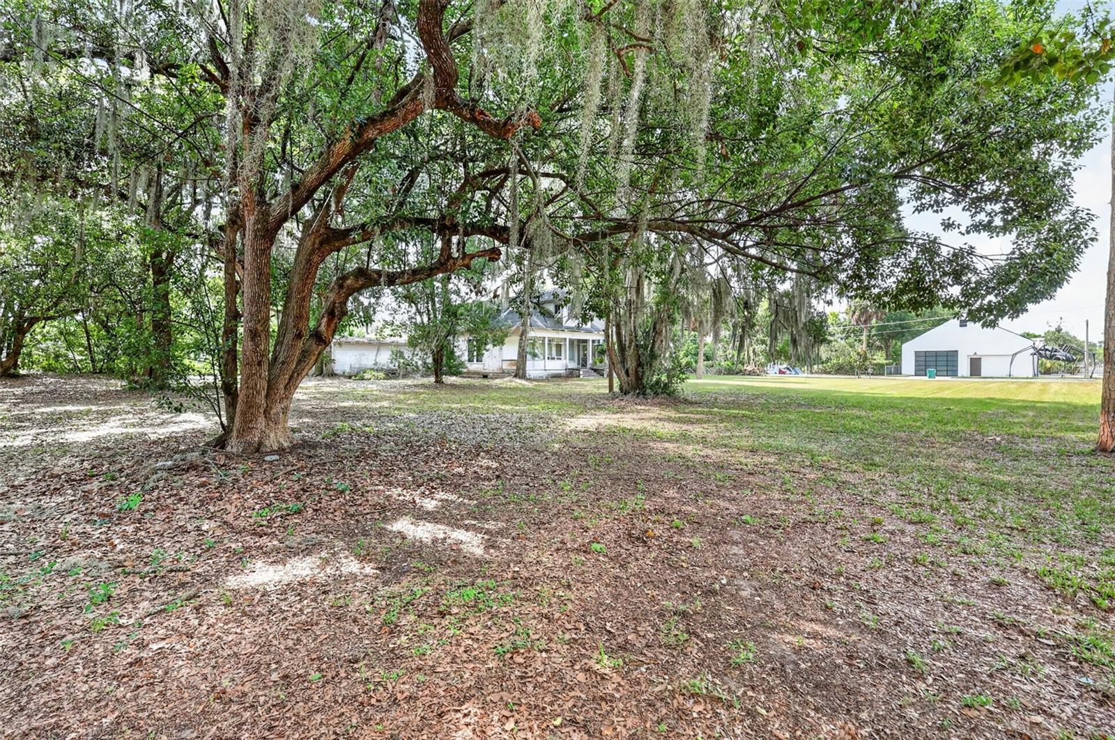 MOUNT DORA - Residential