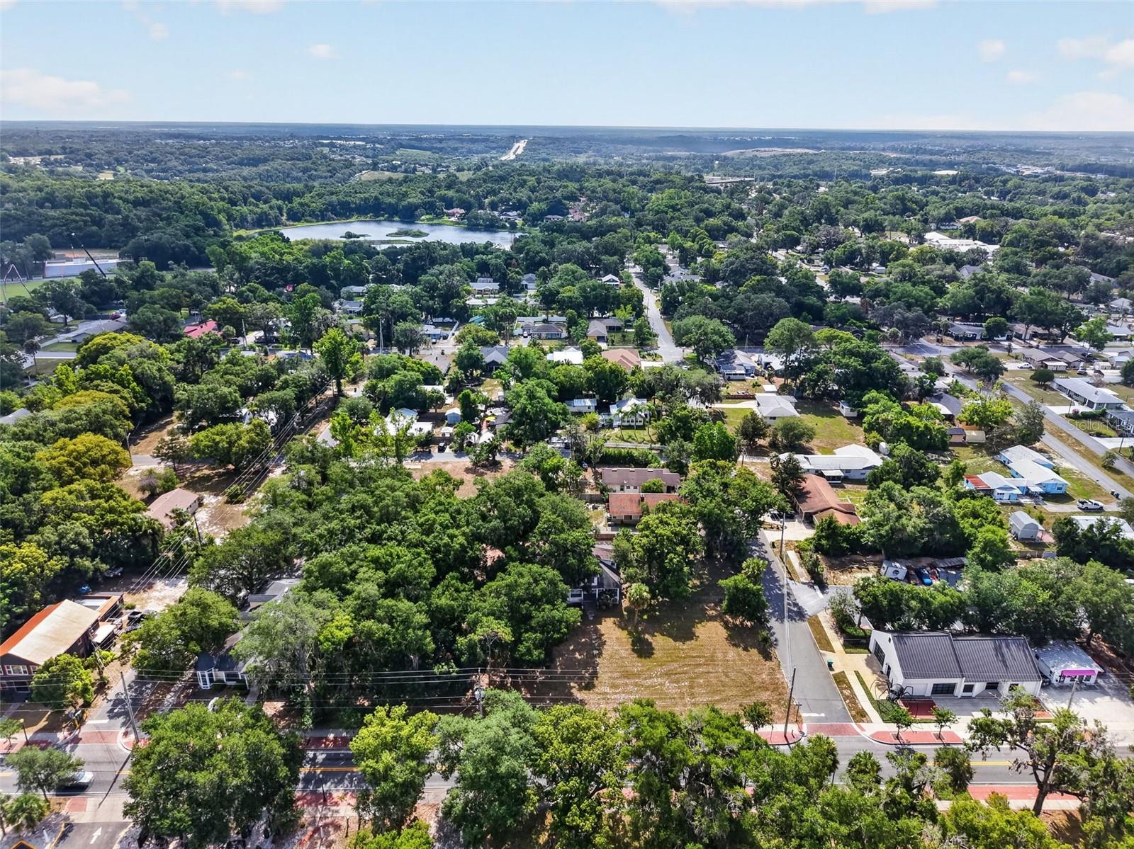 MOUNT DORA - Residential