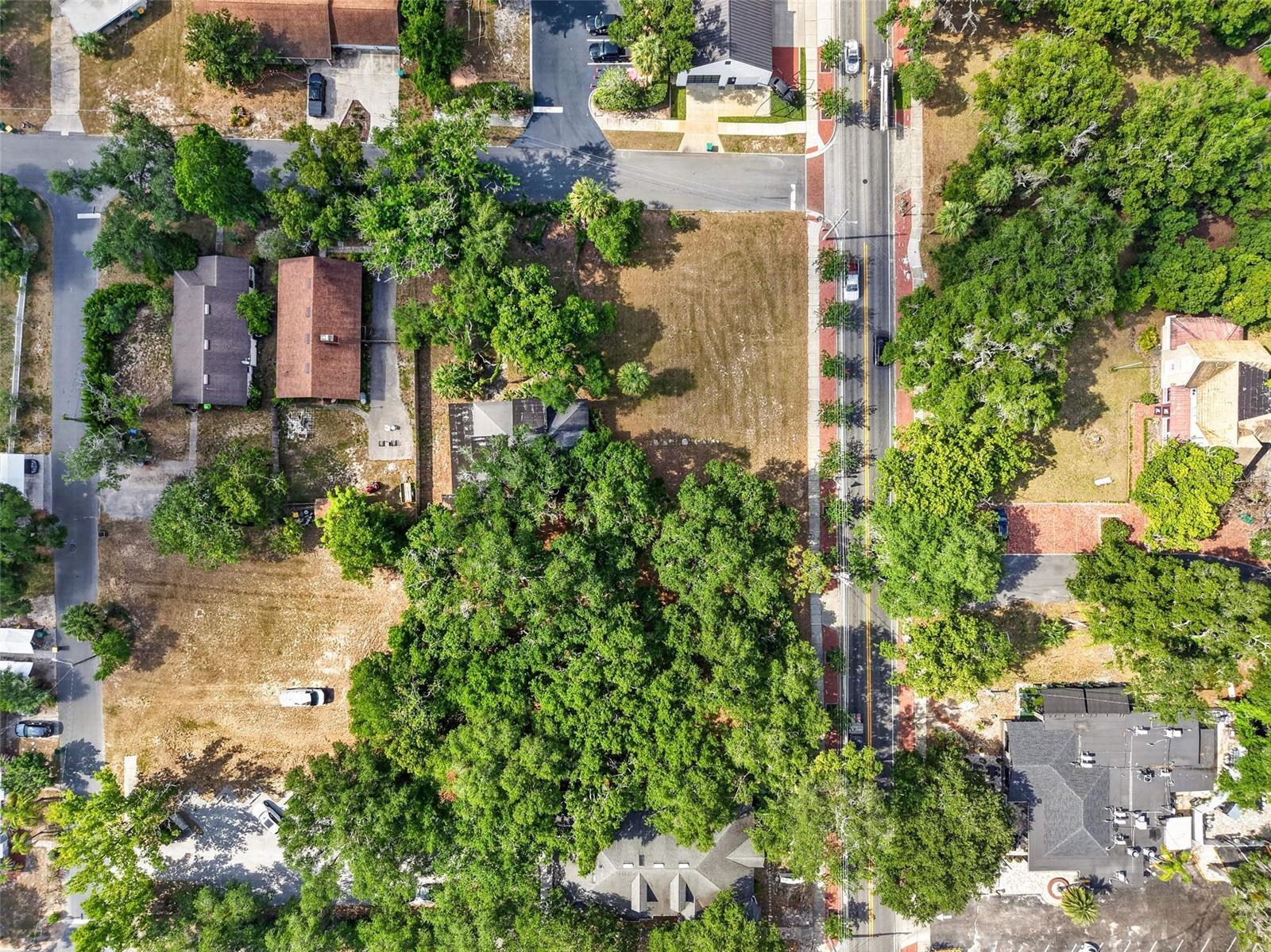 MOUNT DORA - Residential