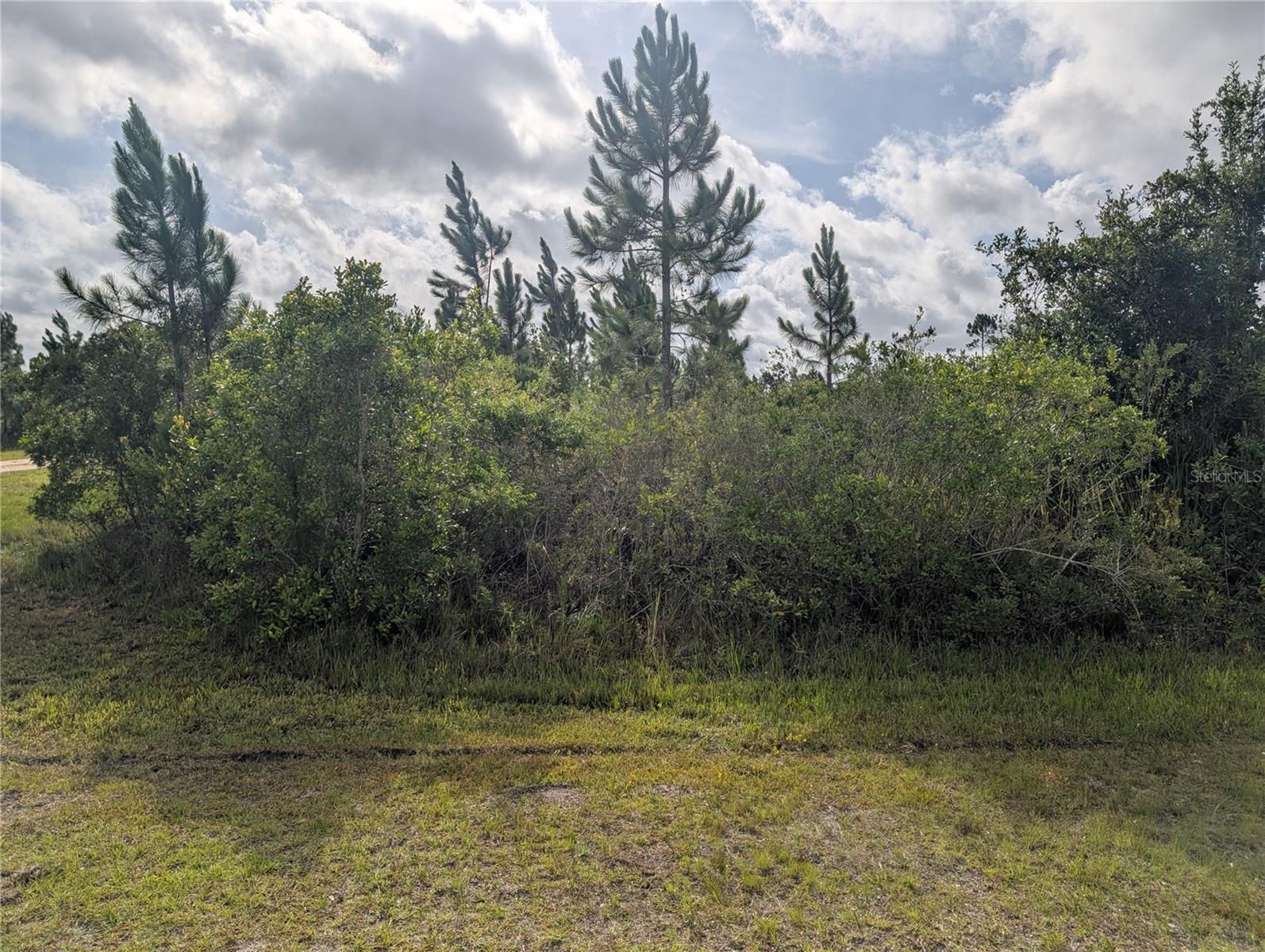 INDIAN LAKE ESTATES - Land