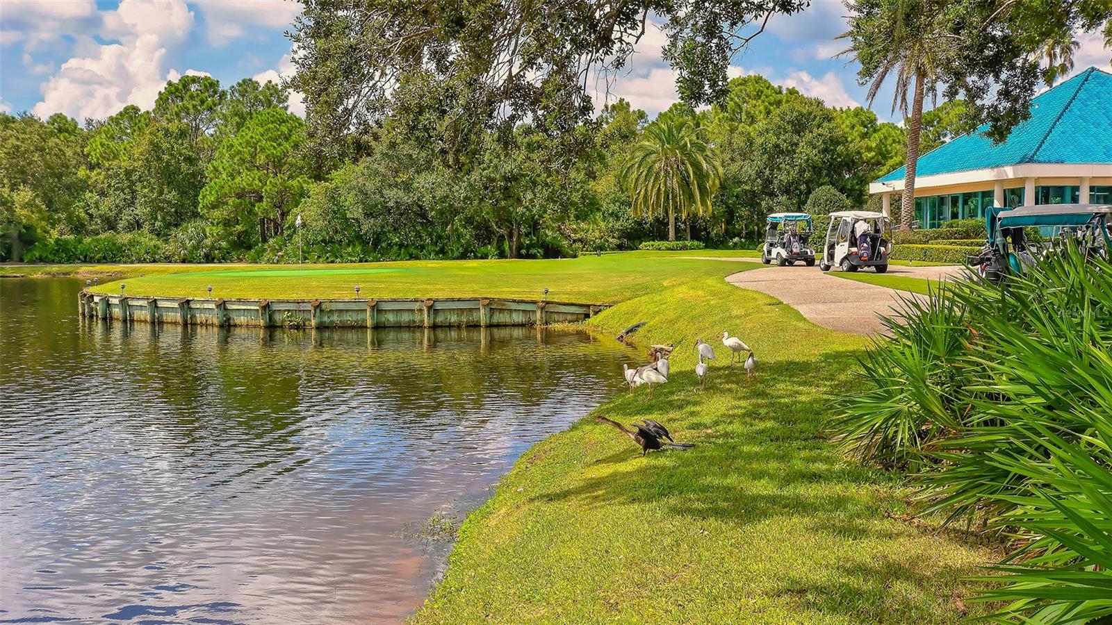 UNIVERSITY PARK COUNTRY CLUB-HENLEY - Residential