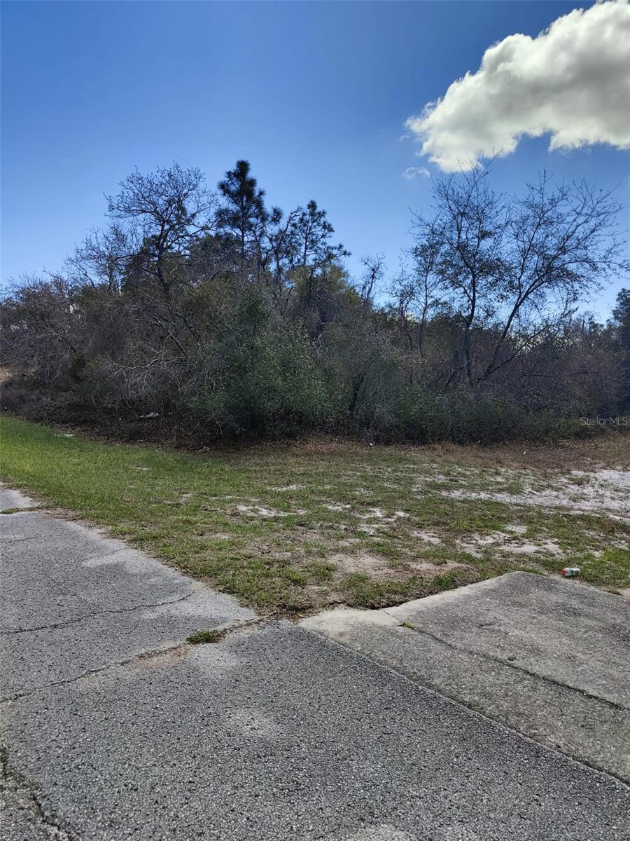 POINCIANA NBRHD 02 WEST VILLAGE 07 - Land