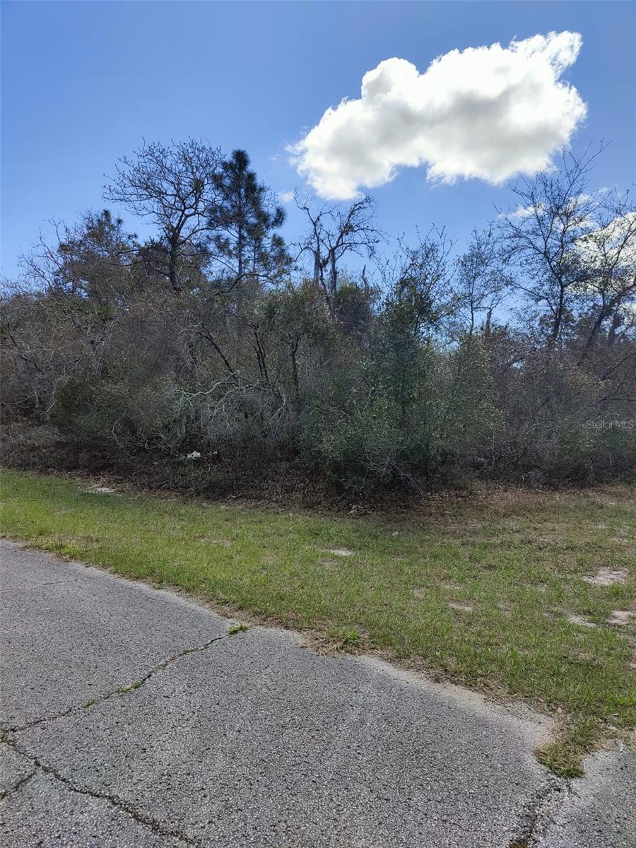 Build your dream home in a prime location close to everything you need. Enjoy the perfect blend of convenience, comfort, and highly desirable area. Near shopping, dining, schools, and mayor highways, this property offers the ideal setting to create the lifestyle you've always wanted