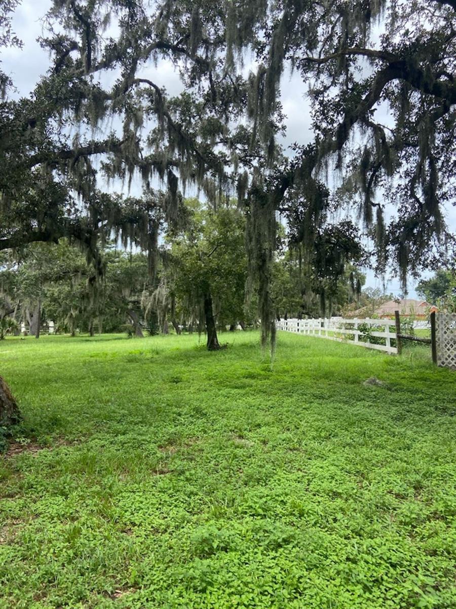 GOLDEN  ACRES - Land