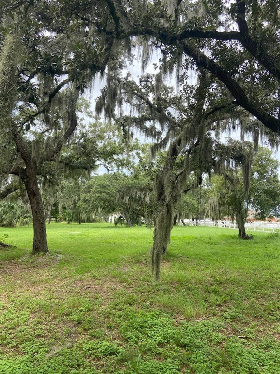 "This vacant residential lot is situated on 1.9 acres, 75% of the lot is zone X AND 25% ZONE A, New Port Richey, Florida 34654. Located in an area where homes are typically built on expansive 1 to 5-acre lots, this property offers the rare opportunity to enjoy spacious living. The neighborhood is well-established, peaceful, and free from any restrictions, allowing for a variety of uses, including the freedom to keep animals of any kind. With its serene environment and the flexibility to design and build without limitations, this property is perfect for those seeking both privacy and the opportunity to create a personalized estate in a sought-after location