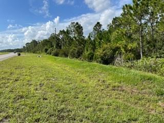 NOW AVAILABLE !!
27.5 acres of vacant land with over 830 feet of frontage directly on E Irlo Bronson Highway (US RT.192).  This is a rare opportunity to buy this amount of acreage directly on a busy highway and in a rapidly growing area. Nearby, there are 100's of new homes planned with construction already underway. Currently there are no commercial developments  planned nearby but sooner or later they will be needed.
This property has two natural spring ponds while the majority of the land is cleared and ready for the next project. Wildlife is consistently seen throughout the property. Shopping in St Cloud is a very short drive away while the beach is only 40 minutes away.
Don't wait and then later regret this rare opportunity. This property will not last.