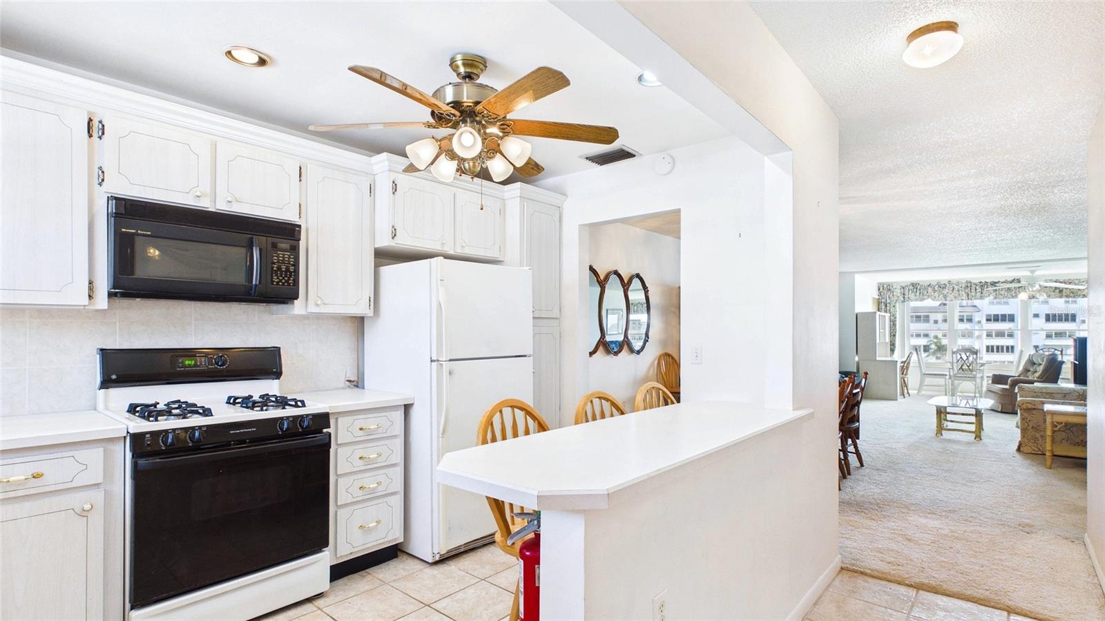 TOWN SHORES OF GULFPORT - Residential