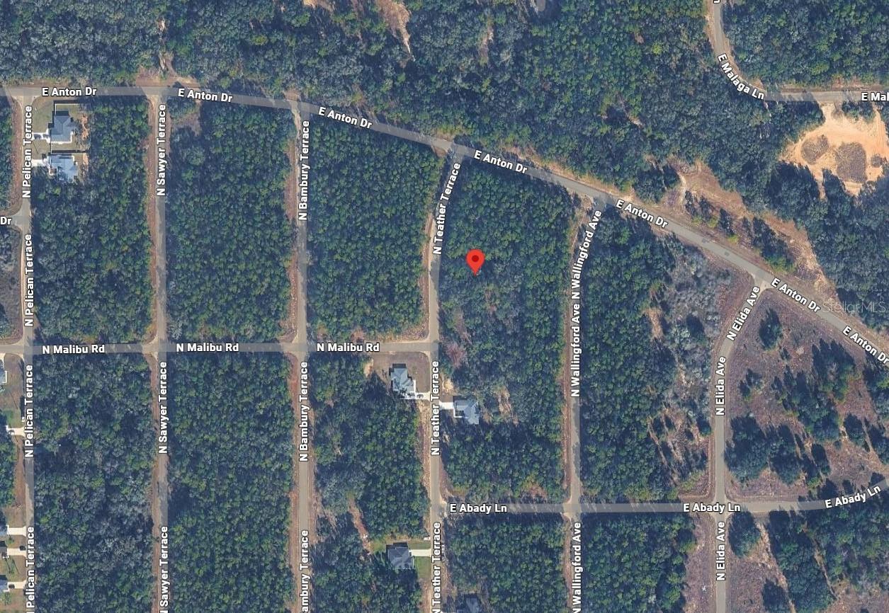 CITRUS SPGS UNIT 26 - Land