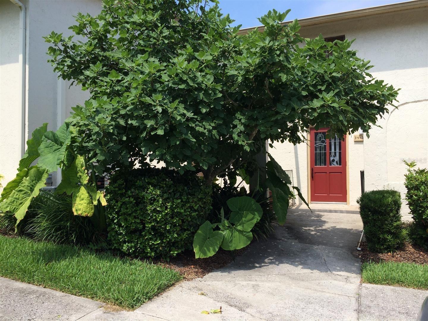 CAPISTRANO - Residential