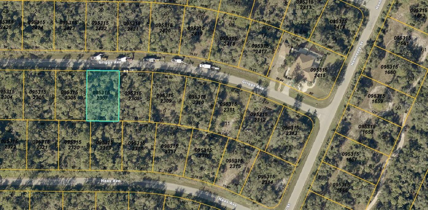 Nice, wooded home site located on a quiet street with electricity along the access road. The Sumter Boulevard and Interstate 75 intersection is convenient as is shopping at the Sumter Boulevard and Price Boulevard intersection. Fantastic value for this North Port plot with ELECTRICTY on site as other similarly priced typically do not!