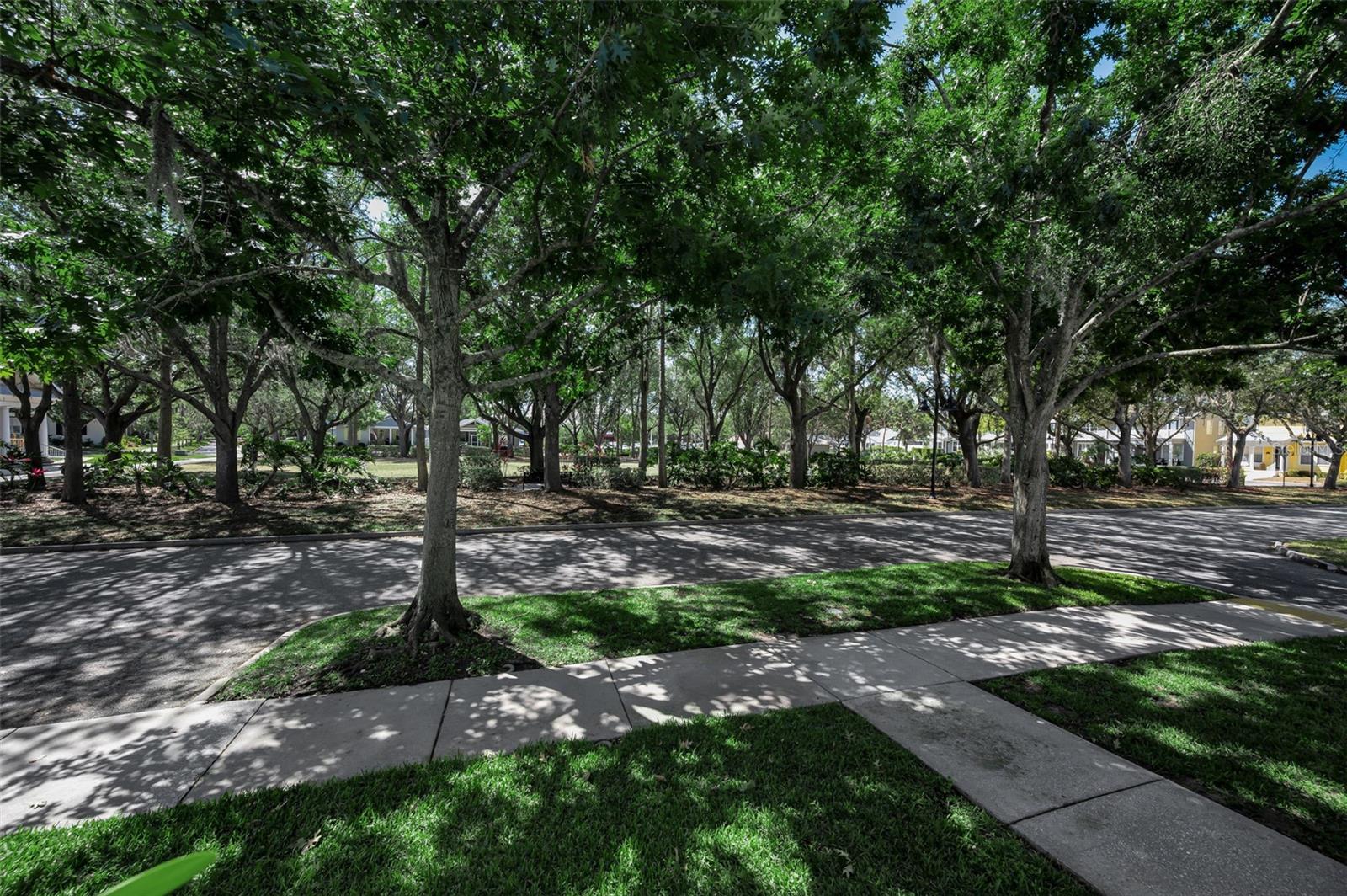 LONGLEAF PH 01 - Residential
