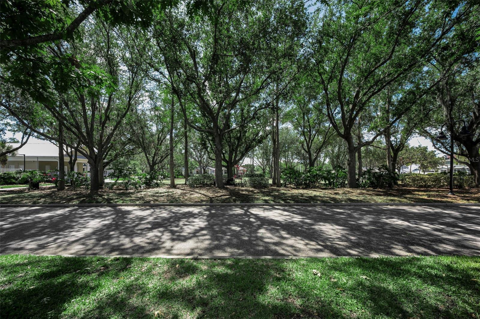 LONGLEAF PH 01 - Residential