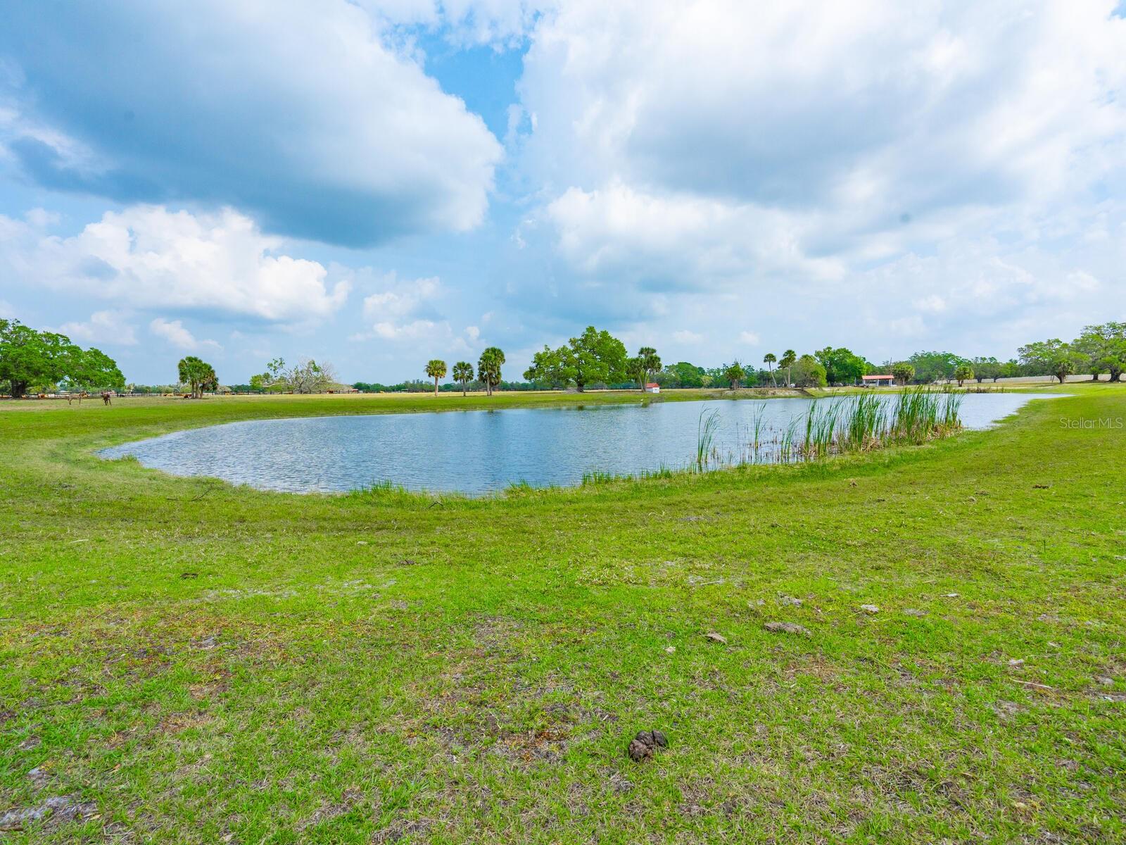 NORTH VENICE FARMS - Land