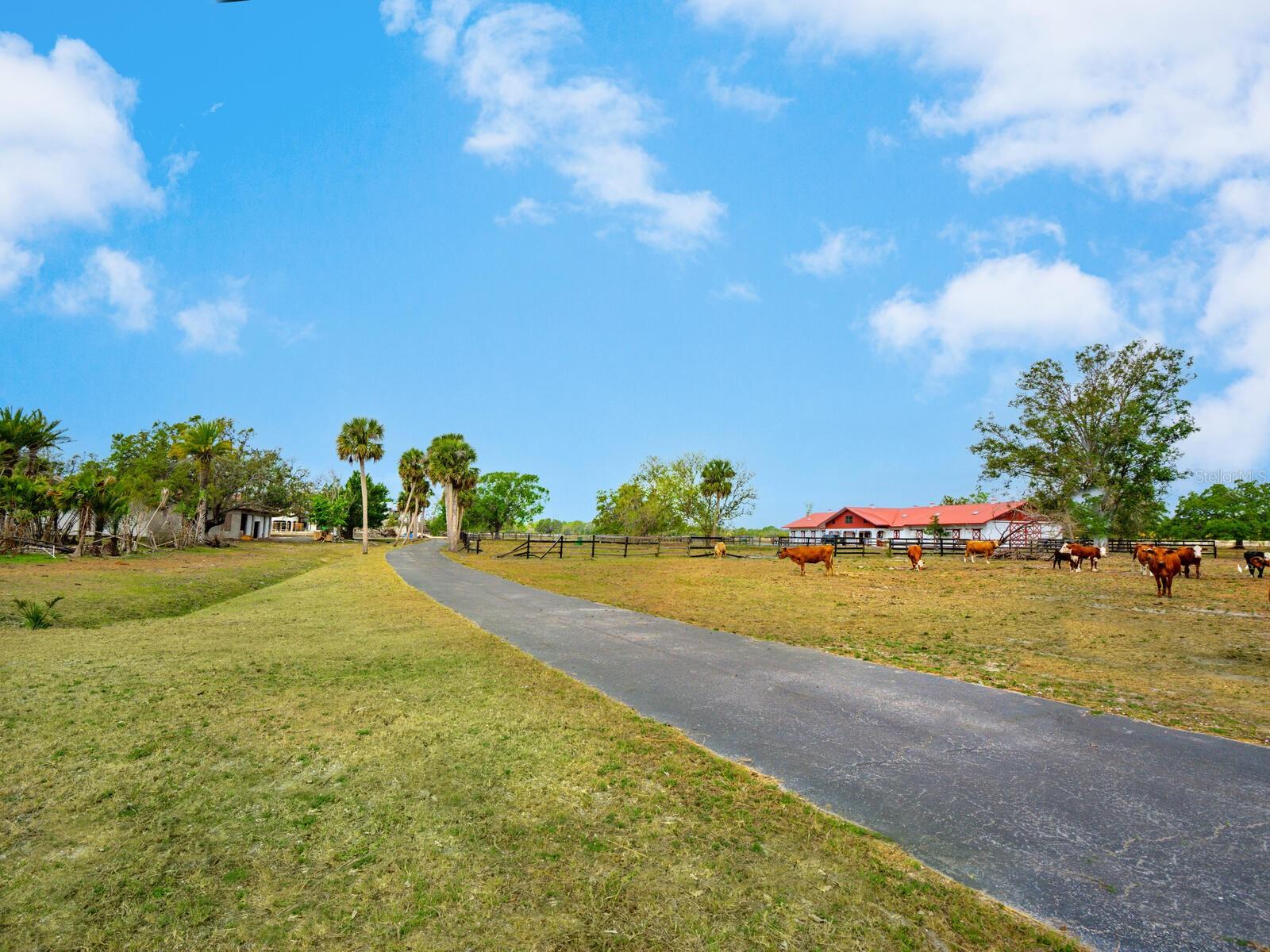 NORTH VENICE FARMS - Land