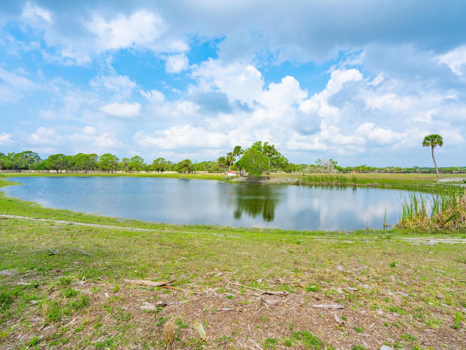 NORTH VENICE FARMS - Land