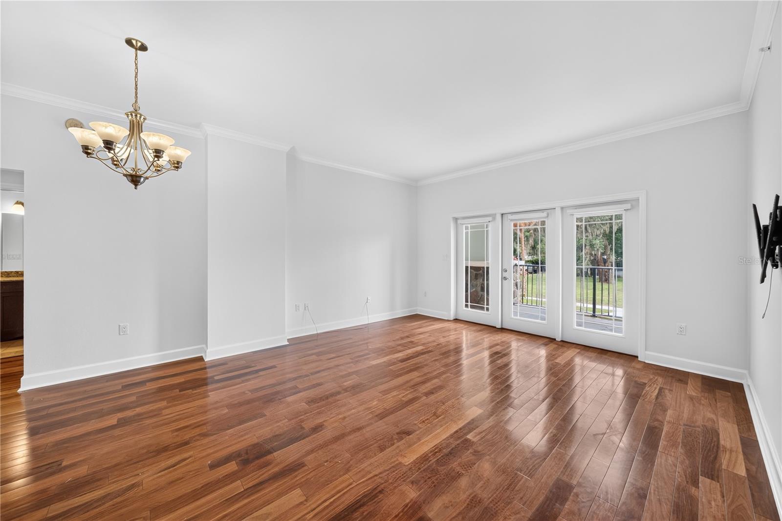 WELLESLEY CONDO - Residential