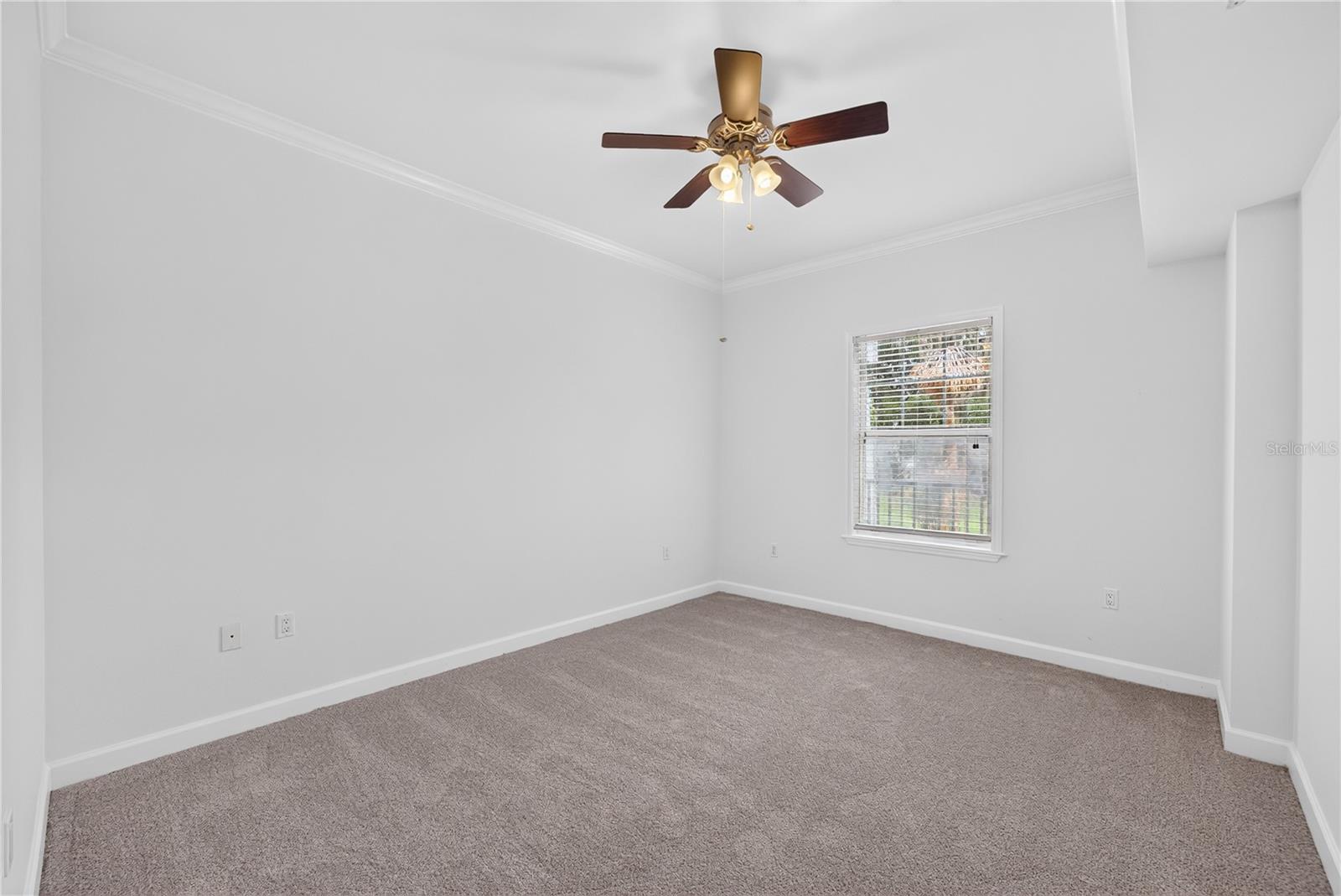 WELLESLEY CONDO - Residential