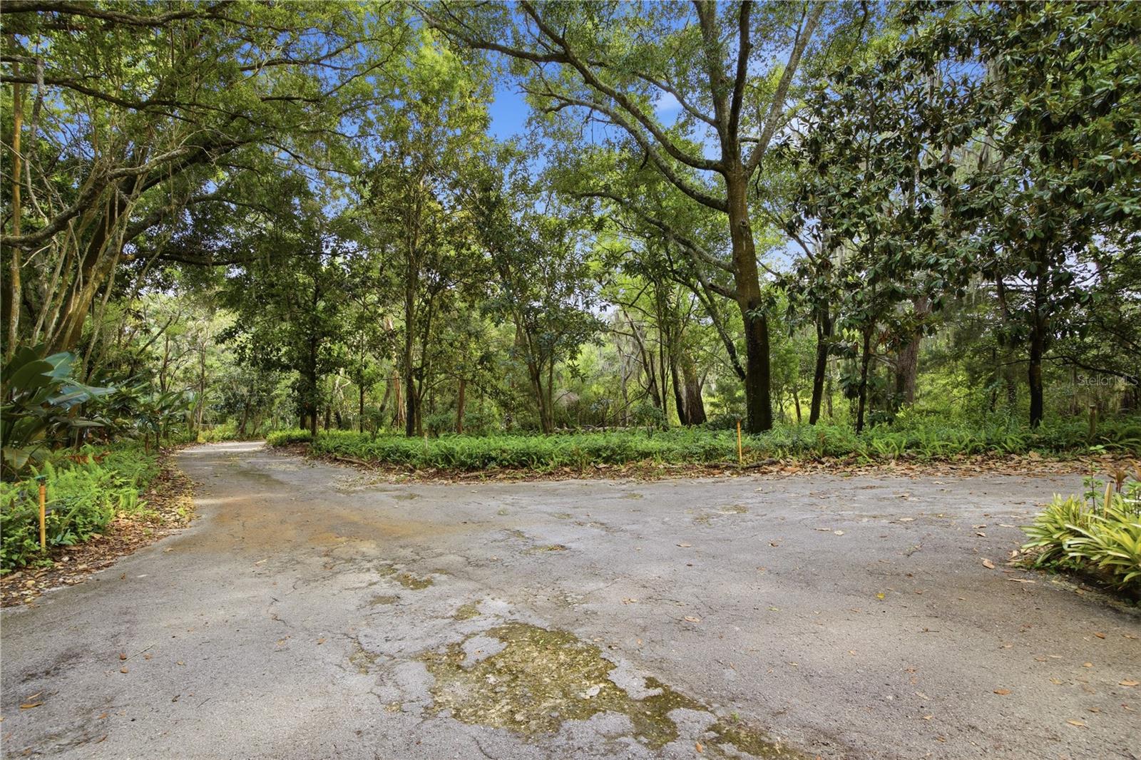 TAMPA & TARPON SPGS LAND CO - Residential