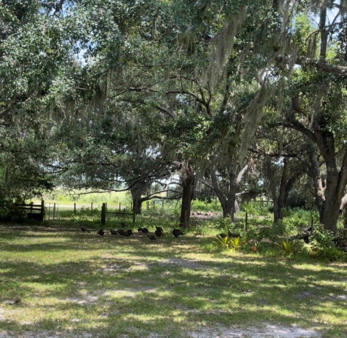 RANCHES AT MOSSY HAMMOCK - Residential