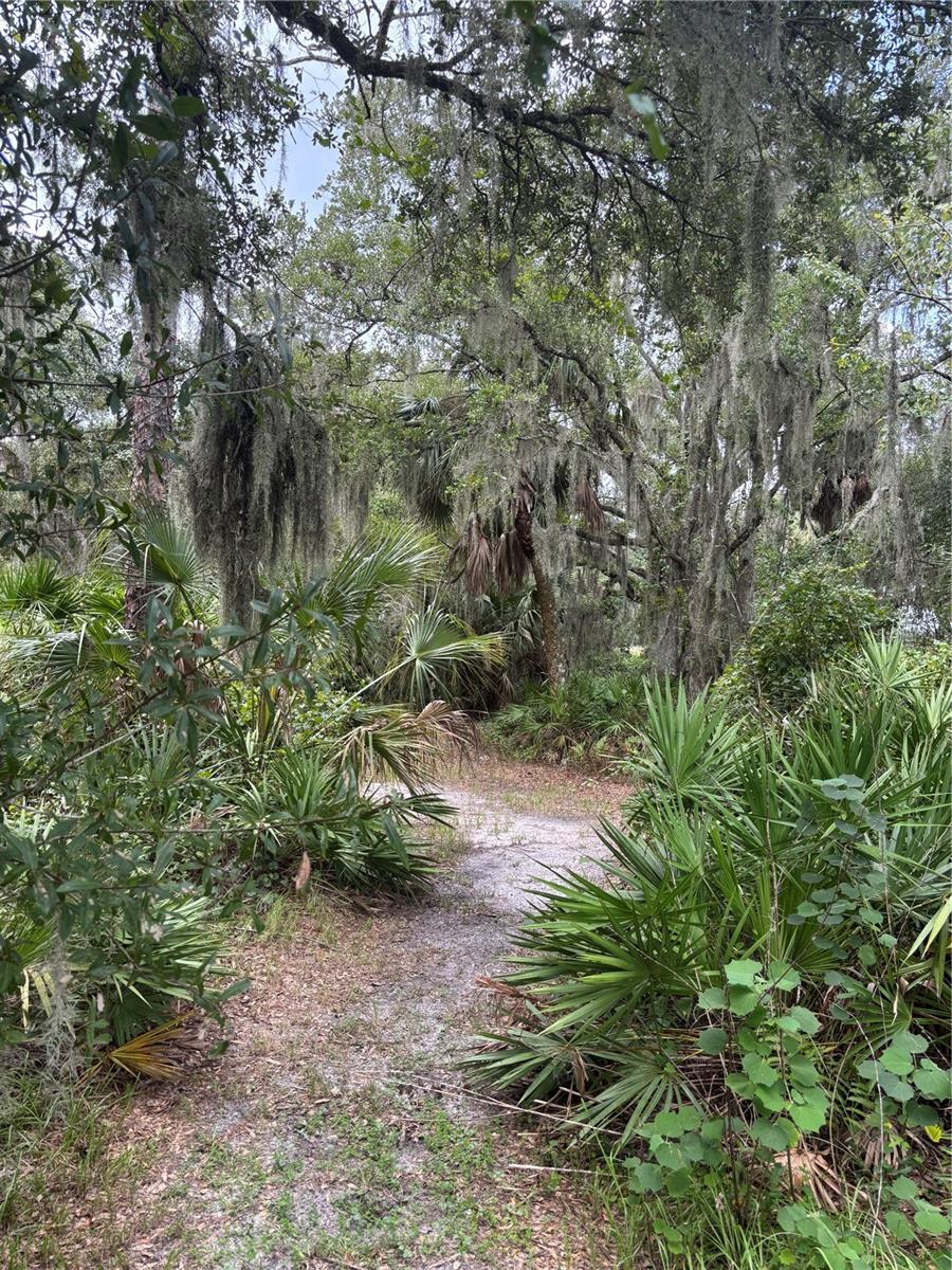 RANCHES AT MOSSY HAMMOCK - Residential