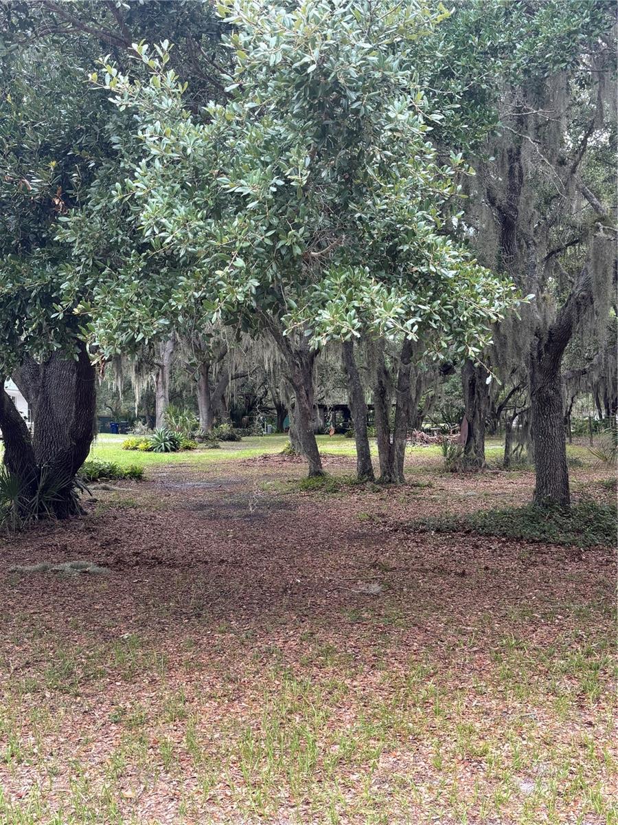 RANCHES AT MOSSY HAMMOCK - Residential
