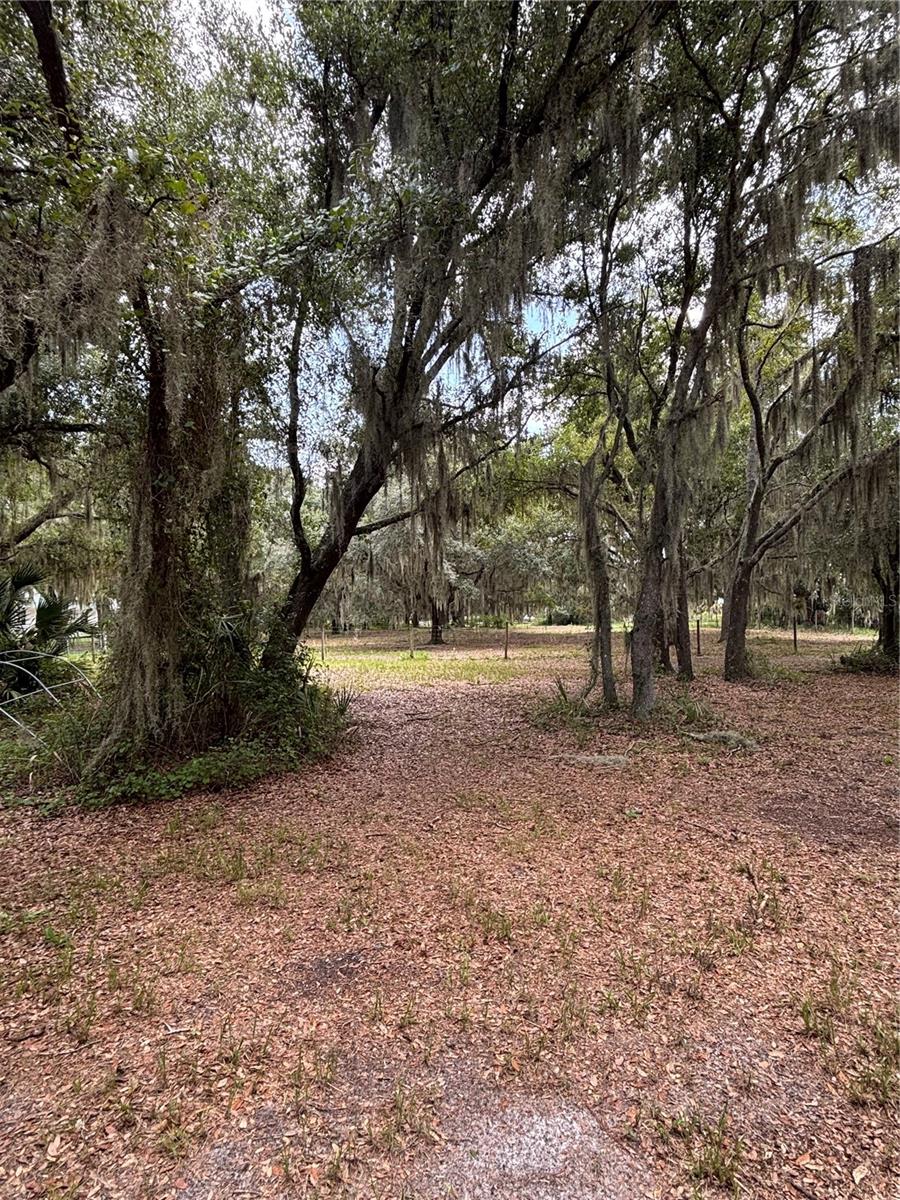 RANCHES AT MOSSY HAMMOCK - Residential
