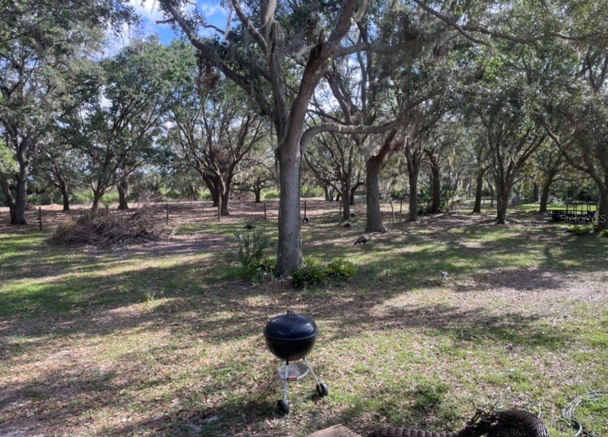 RANCHES AT MOSSY HAMMOCK - Residential