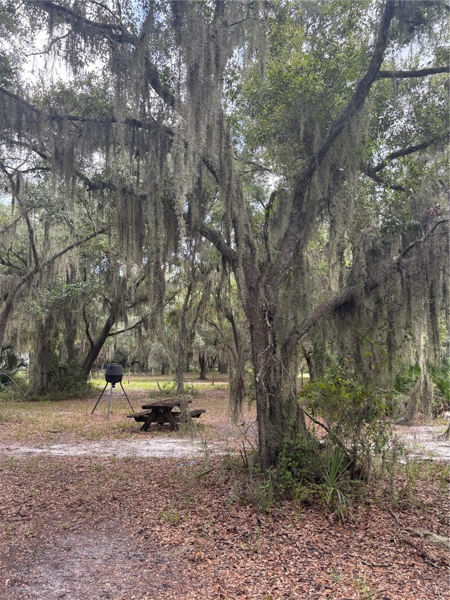 RANCHES AT MOSSY HAMMOCK - Residential